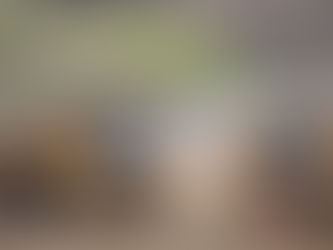 Burton Road to close for over a month as next phase of bypass works are completed