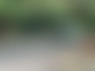 Police issue update as two police cordons appear on Melton street