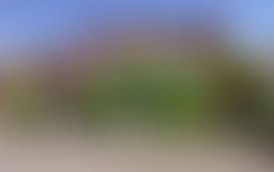 Property owner pleads guilty to removing and disposing of conservation area trees