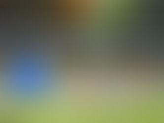 Recap: Driver suffers possible hand injury after Melton collision