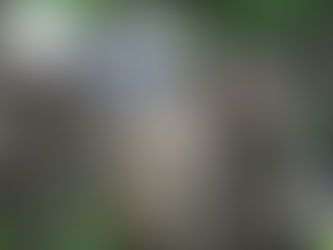 40s, 00s and 20s. What’s happening in Melton Mowbray this weekend