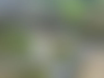 Road closures for bypass works due to end