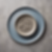 Mold Inspection Service