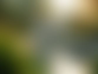 探索现代艺术: 治愈艺术的力量与魅力