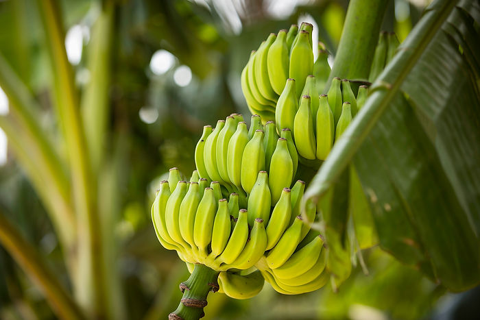 iStock-922094380_v2.jpg