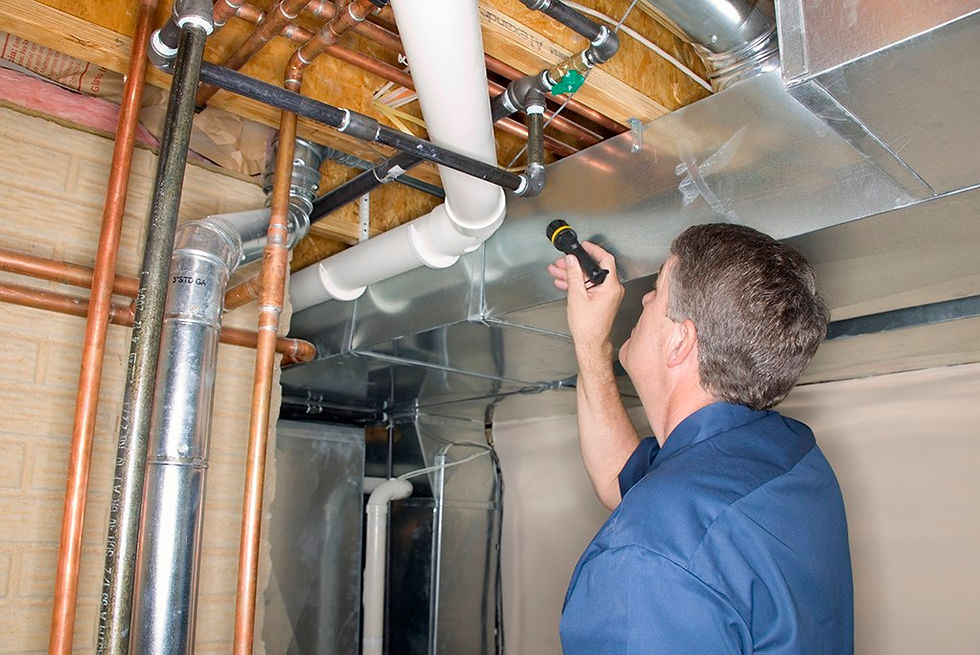 home-inspector