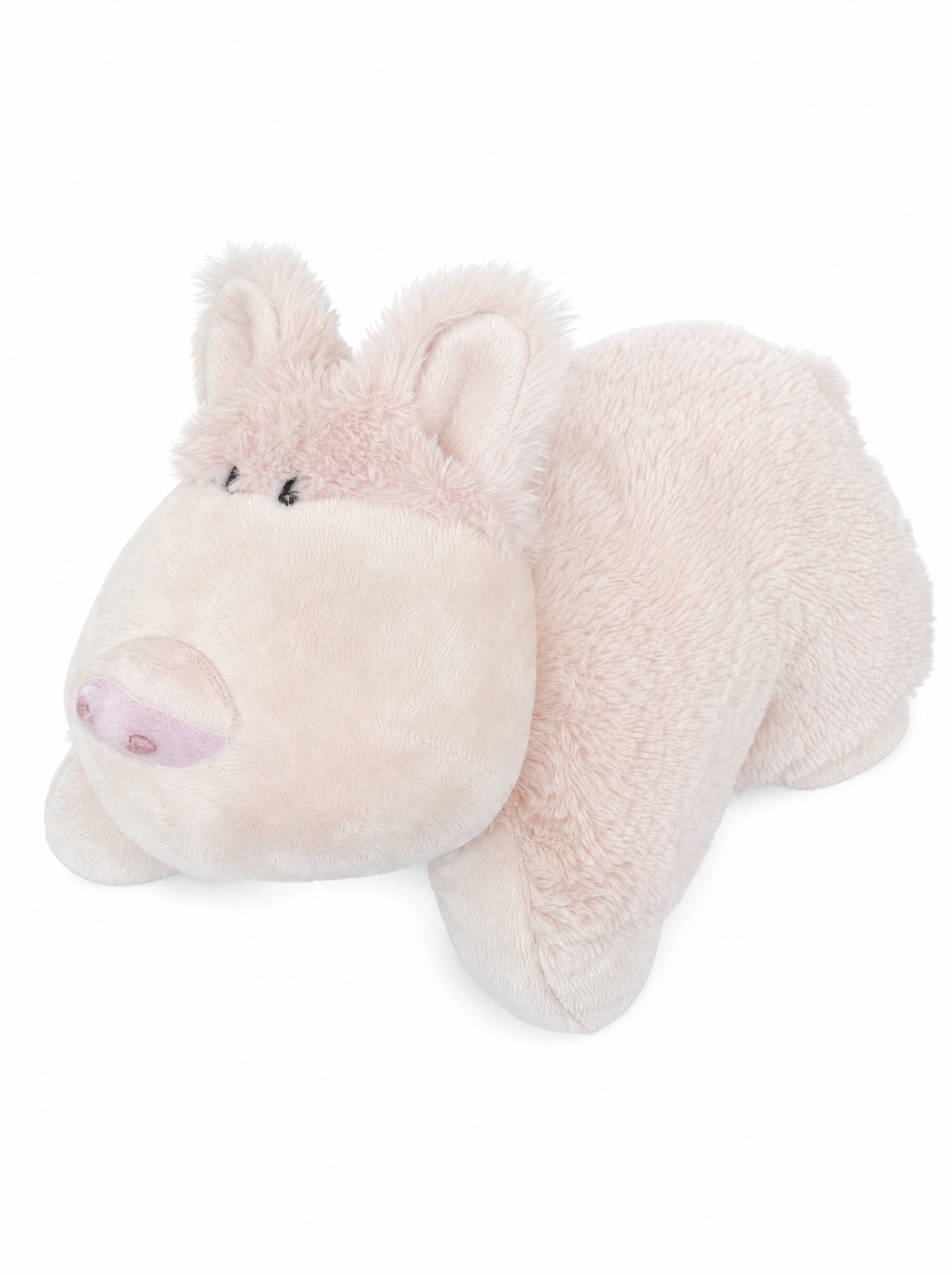 Pillow Pig