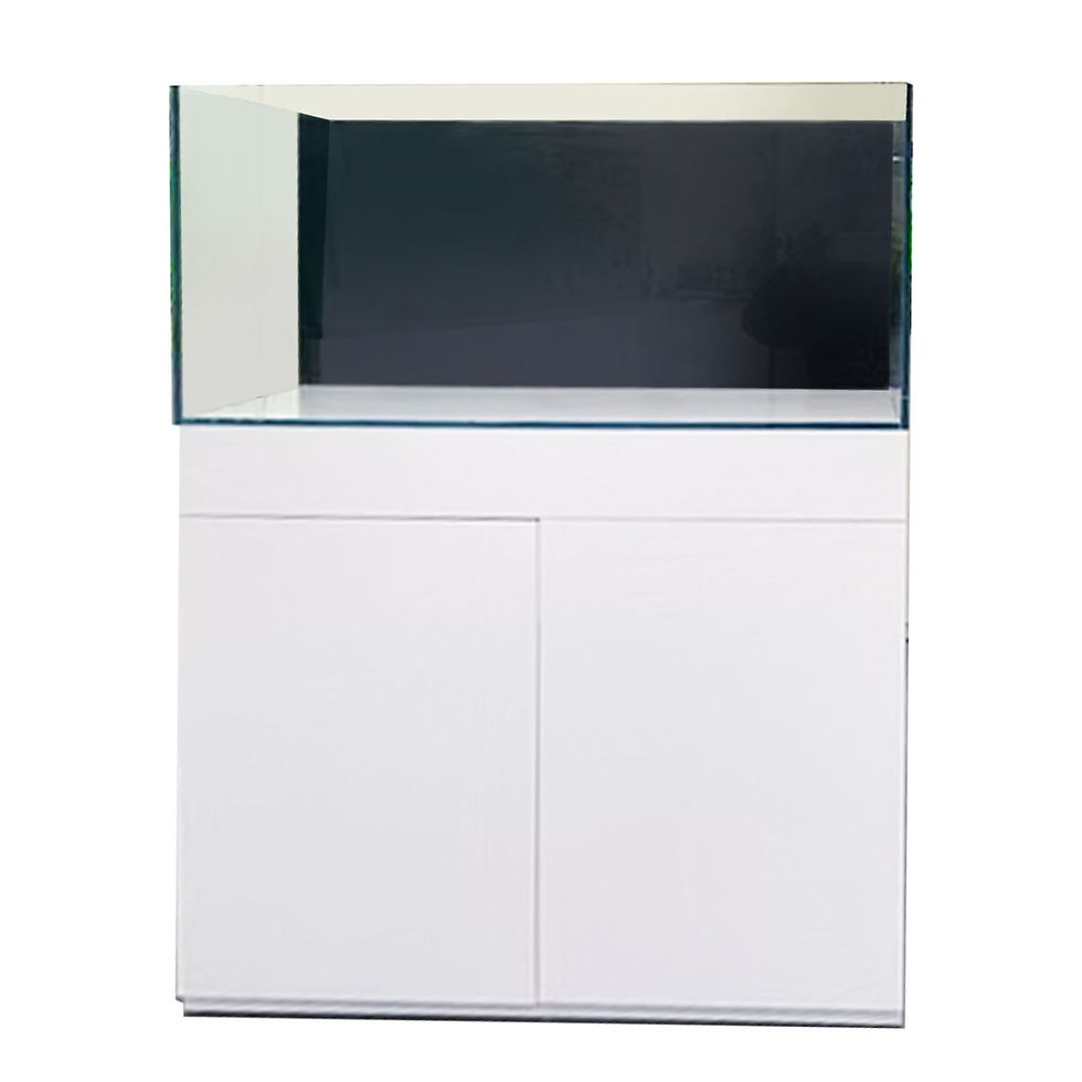 182 Aquarium 900x450x450mm 182L