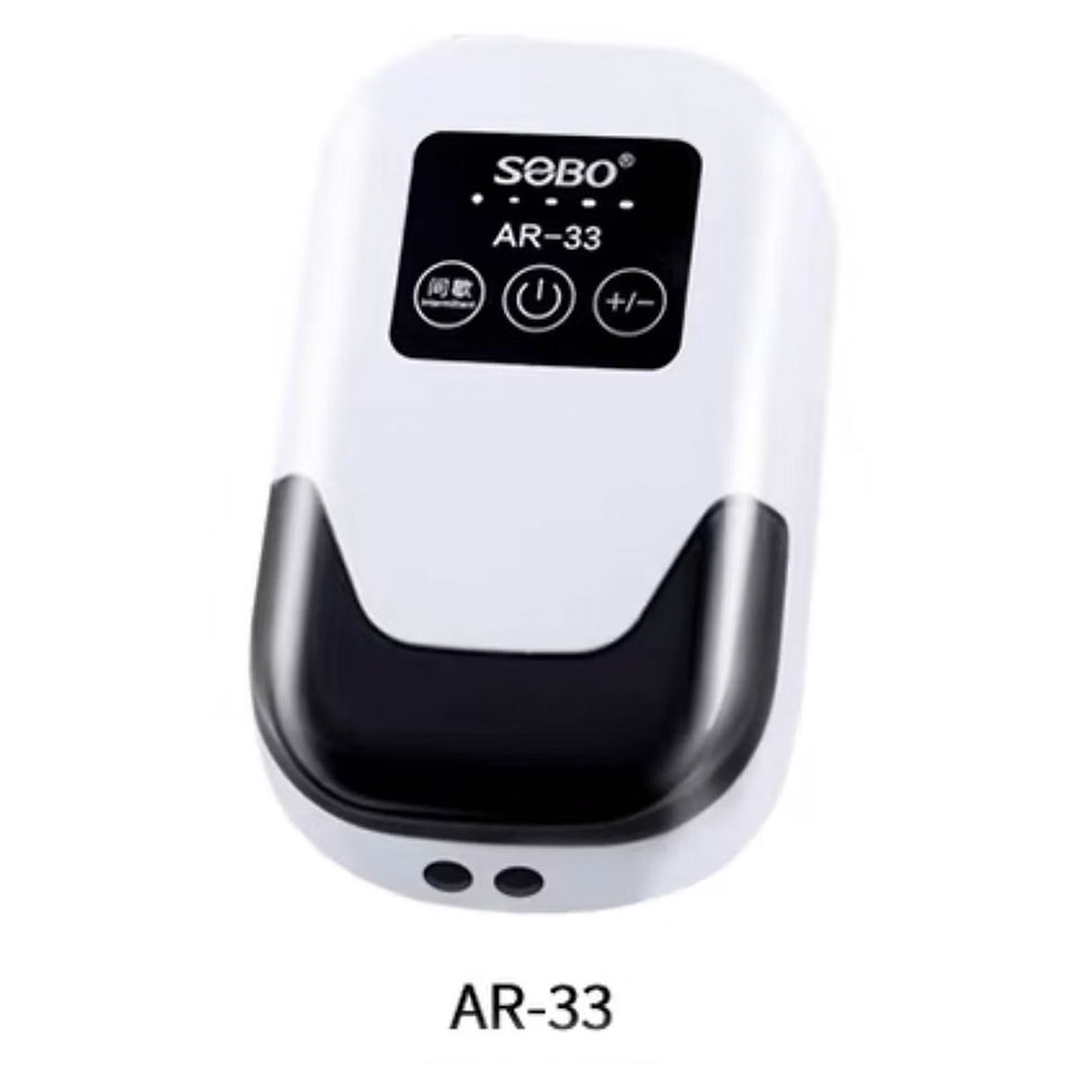 AR-33 DC AIR PUMP, 2x3.0L/mine  BATTERY CAPACITY:6000MA