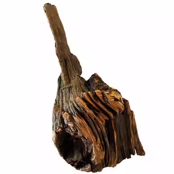 NZ EXOTIC WOOD 20CM to 70CM