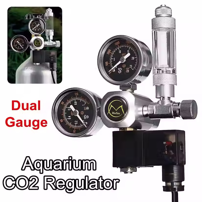 Double gauge regulator with bubble counter