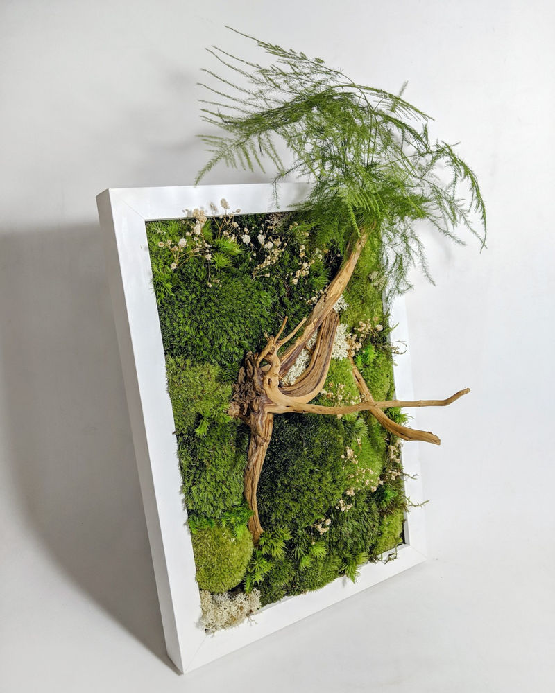 26 July 20 Preserved Moss Frame