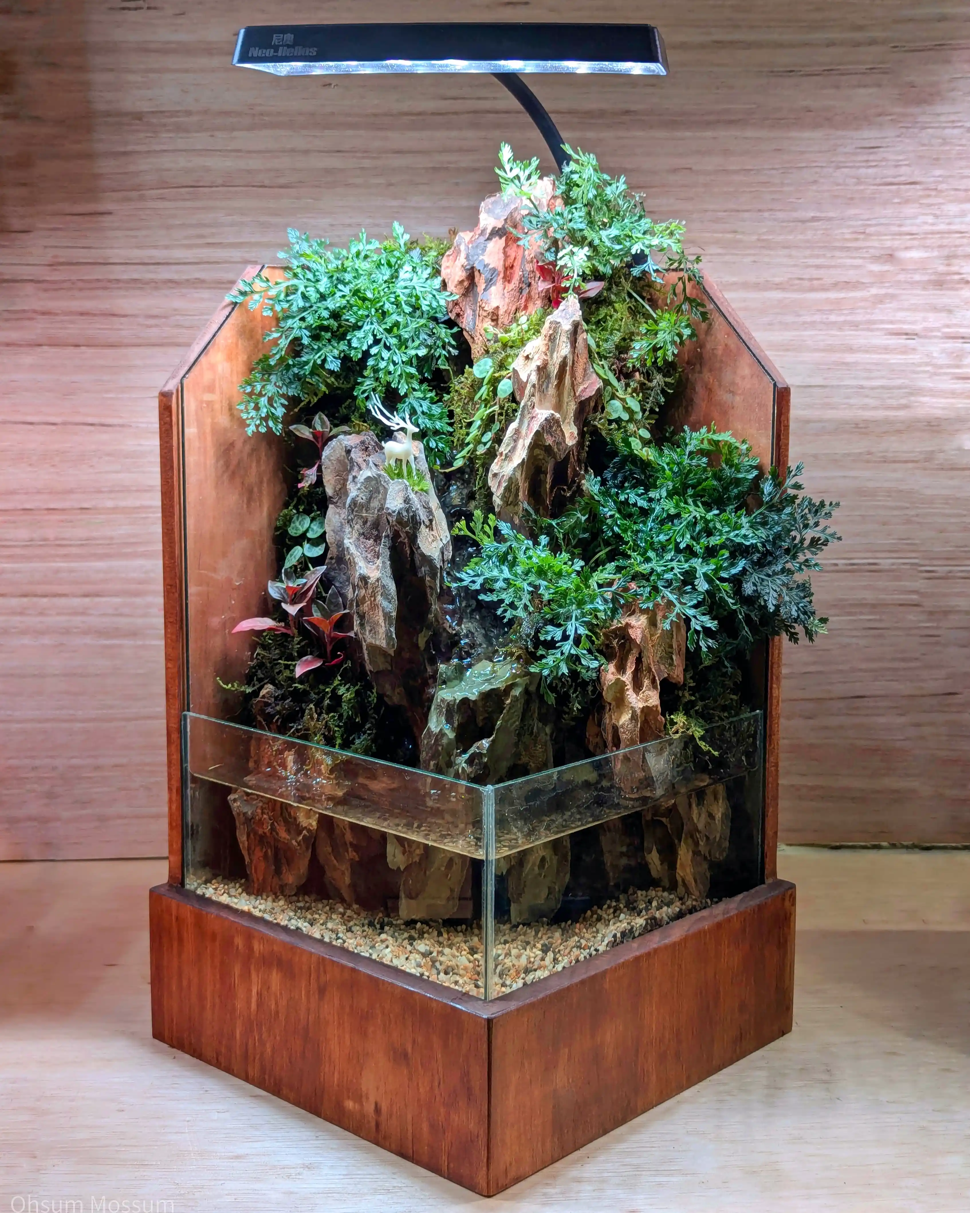 Paludarium terrarium workshop in PJ KL