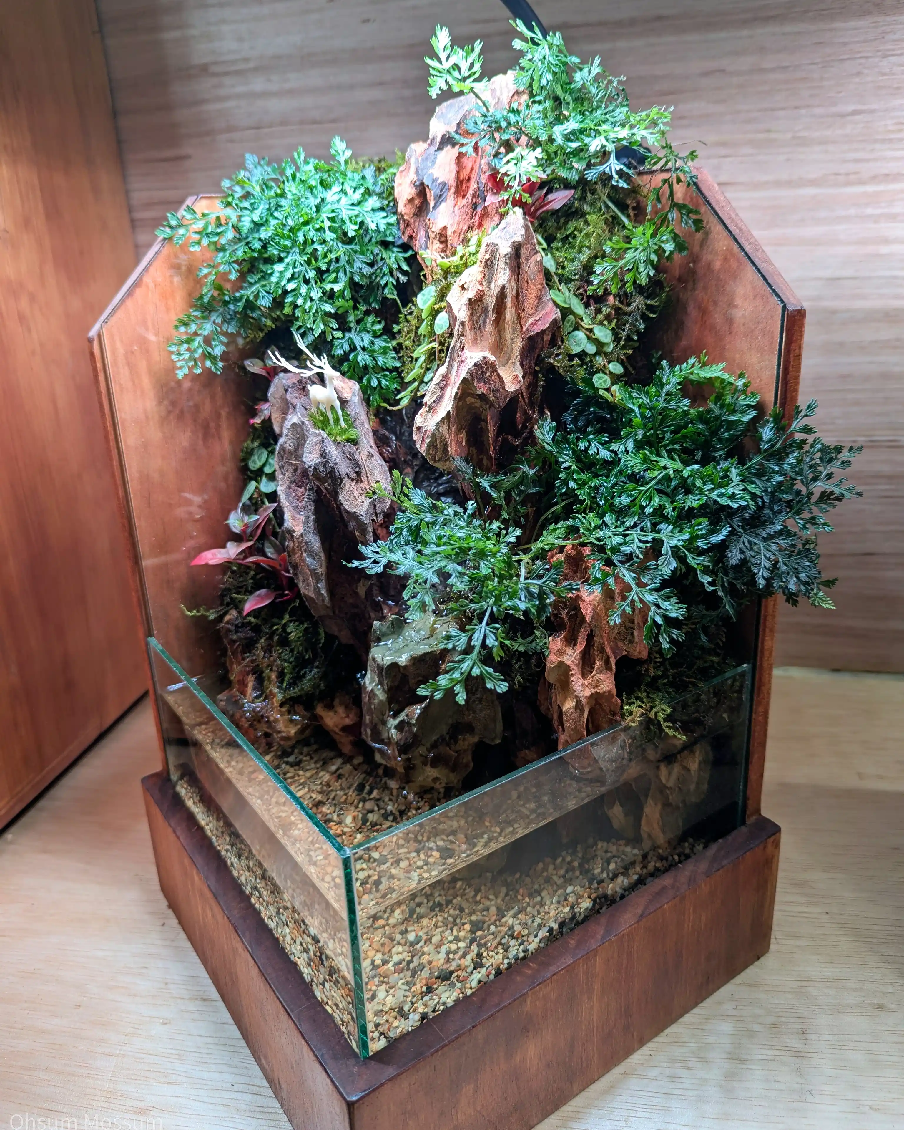 Paludarium terrarium workshop in PJ KL