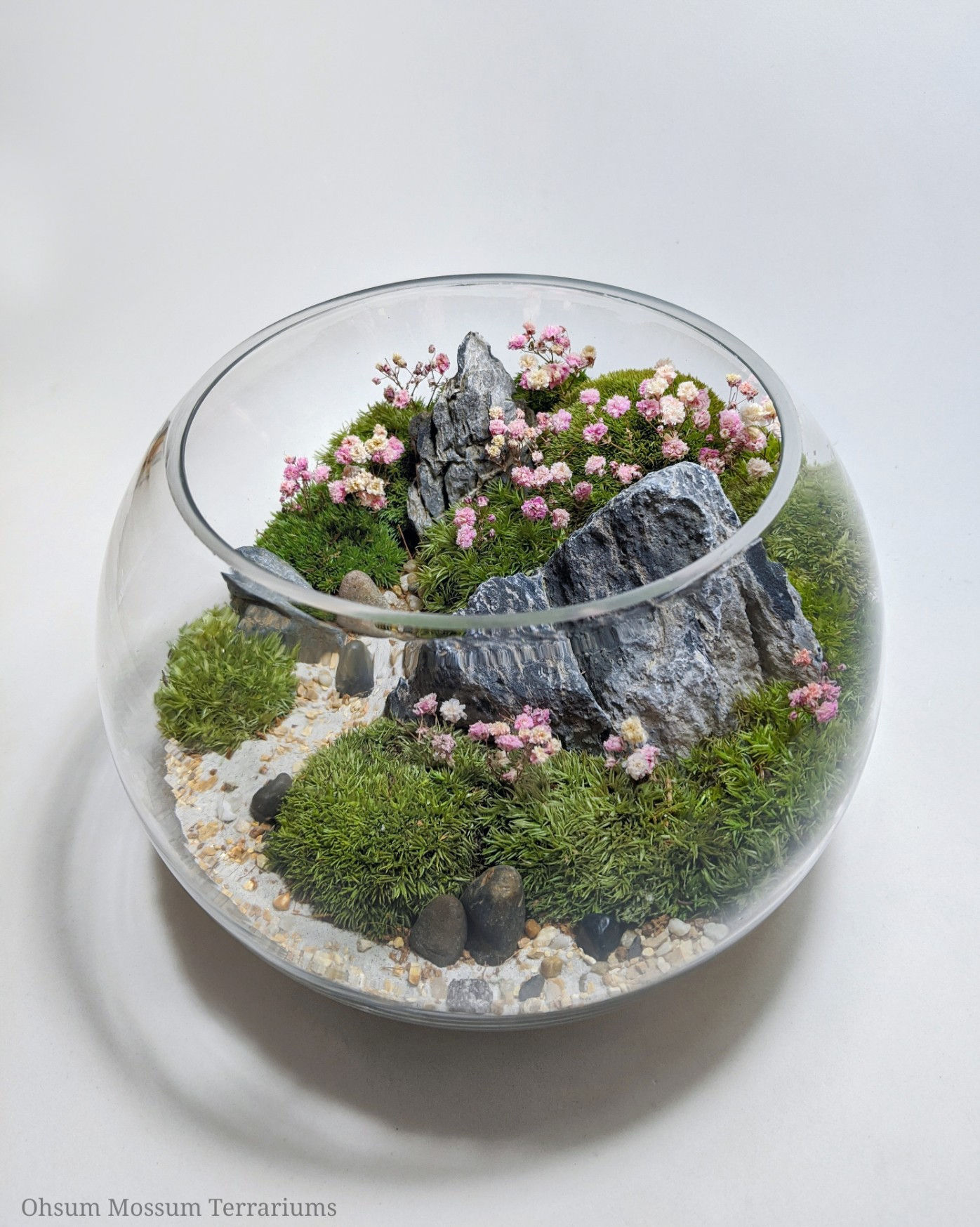 Cherry Blossom Forest