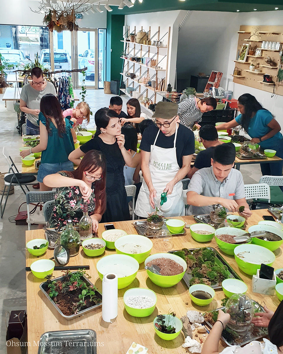 Paludarium terrarium workshop in PJ KL