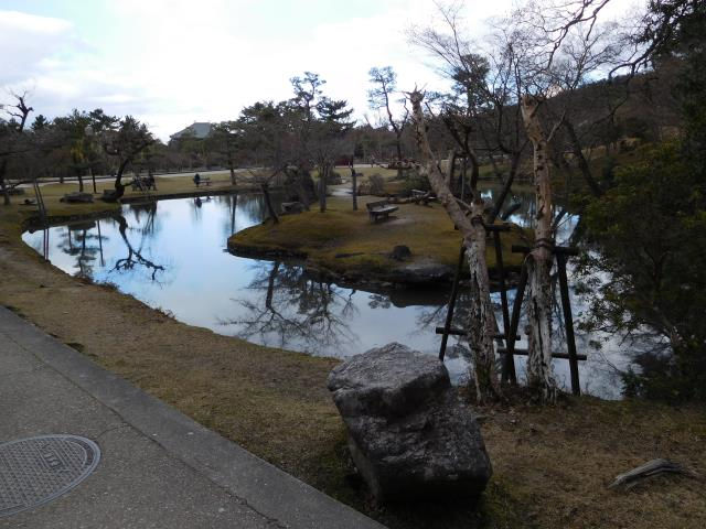 奈良公園