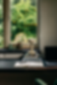 235B2876-F6D7-40F1-80B2-383619F0784F.png
