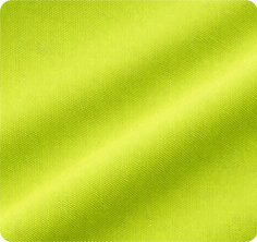 POLO.png