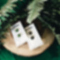 JPEG image-95728250B44E-3.jpeg