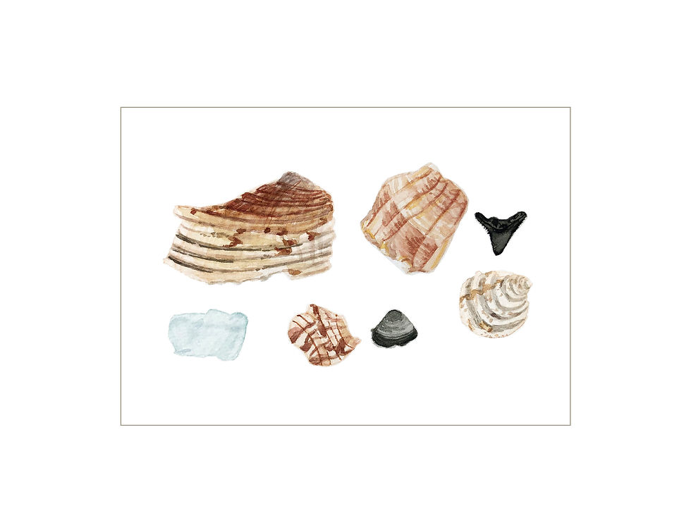 Thumbnail: Set of 5 Cards  |  Unique Shells