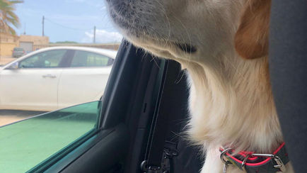 Estate 2020 - La Puglia e i suoi sapori - parte 1