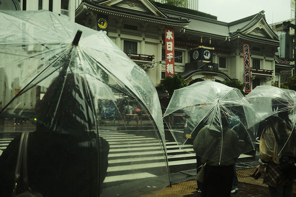 DSCF2385.JPG