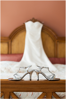 Big Island Hawaii Kohala Photographers-1.png