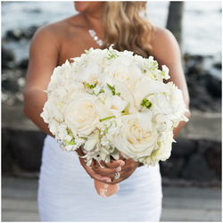 Wedding|photographers|Big Island