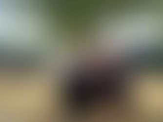 Genussvolle Vielfalt auf dem Mittelalterlichen Phantasie Spectaculum: Entdecke die Welt von Met, Whisky und Beerenweinen