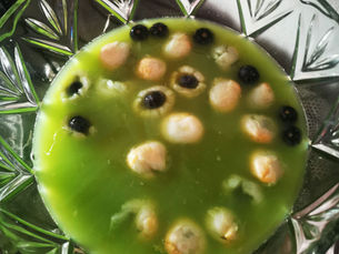 Halloween-Drinks mit Trockeneis: Der ultimative Gruselfaktor für deine Party