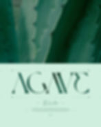 AGAVE zastudio