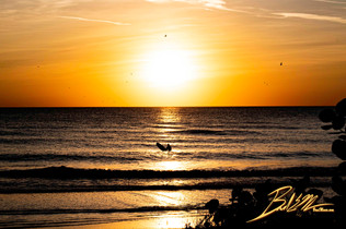 Holmes Beach Gulf of Mexico Sunset with Surfer HDR Polarized Lens