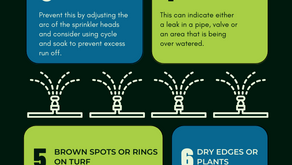 When in drought, check it out.