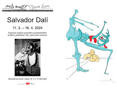 Dali web (1).jpg