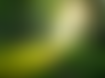 The Importance of Sustainable Living for Future Generations