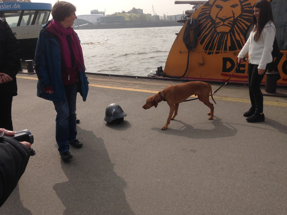 ohm41 Hamburg