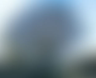 Apeo controlado de Celtis Australis