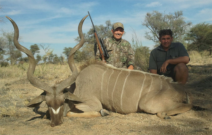 55" Kudu Bull
