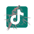 tiktok_blog_edited.png