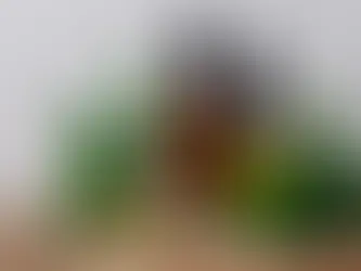 Alabama Cannabis Coalition reflects on mixed results from legislative session || ALReporter.com