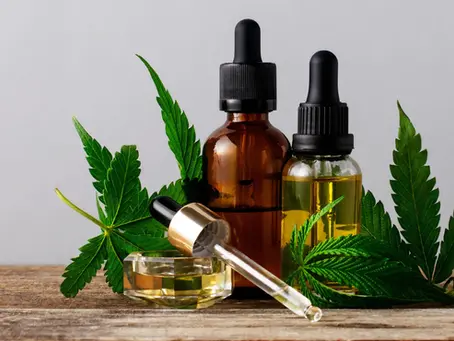 Alabama Cannabis Coalition reflects on mixed results from legislative session || ALReporter.com