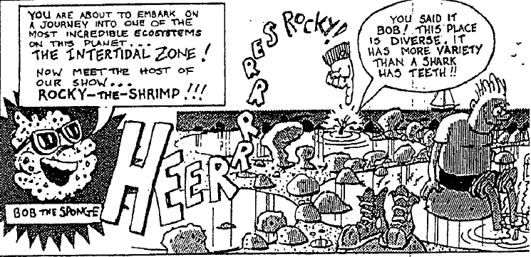 Orange County Marine Institute in 1986, educational comic writing for guests
