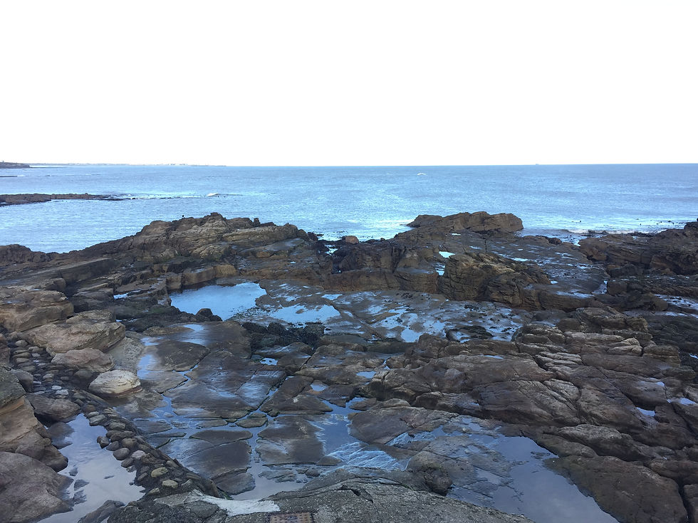 St Mary's Island 1