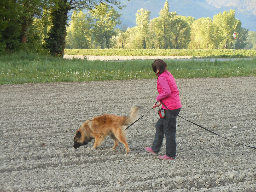 Manon et Iron