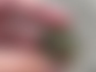 Artefact of the week series: "Élixir du Guillet" Cures Every Diseases