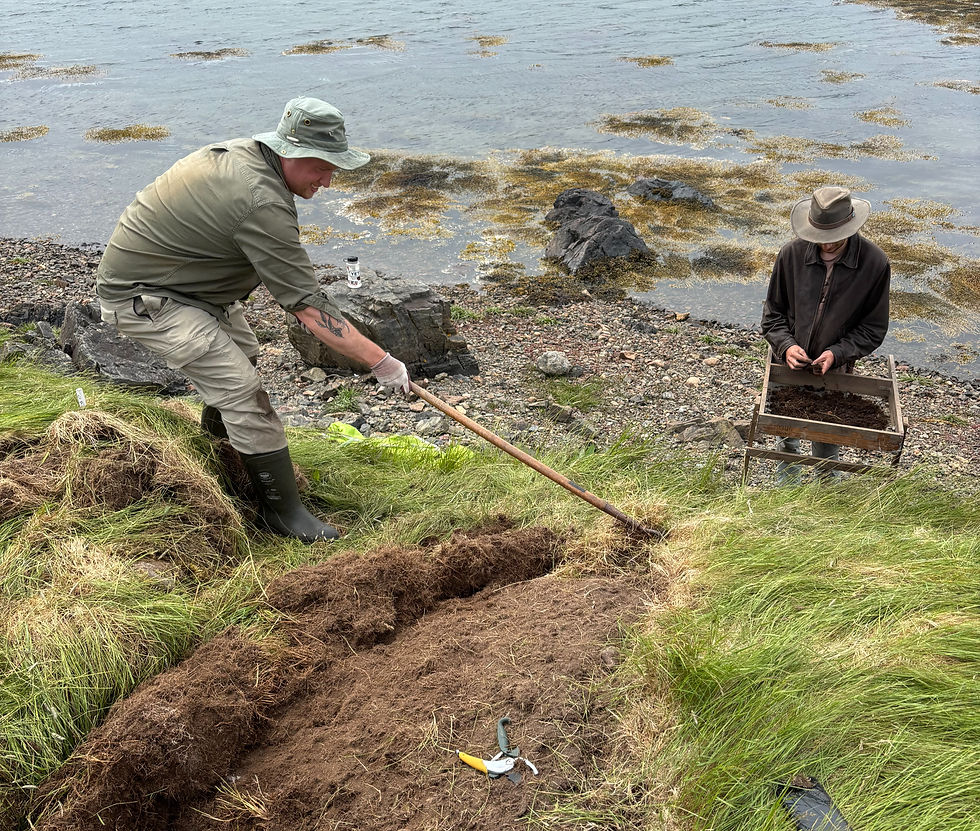 Fig. 6 James and Clarke removing the sod to begin excavation in unit 3A