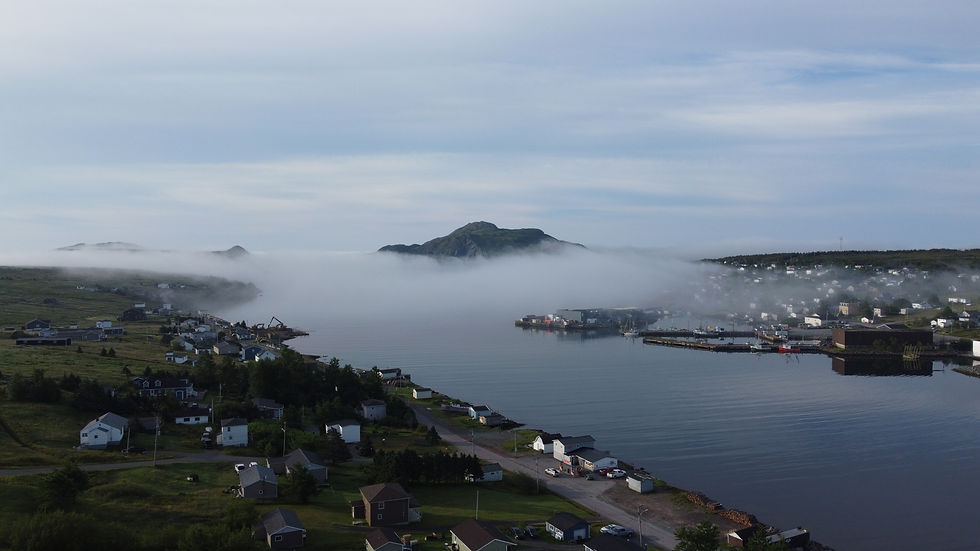 Fig. 9 Fog over St. Lawrence