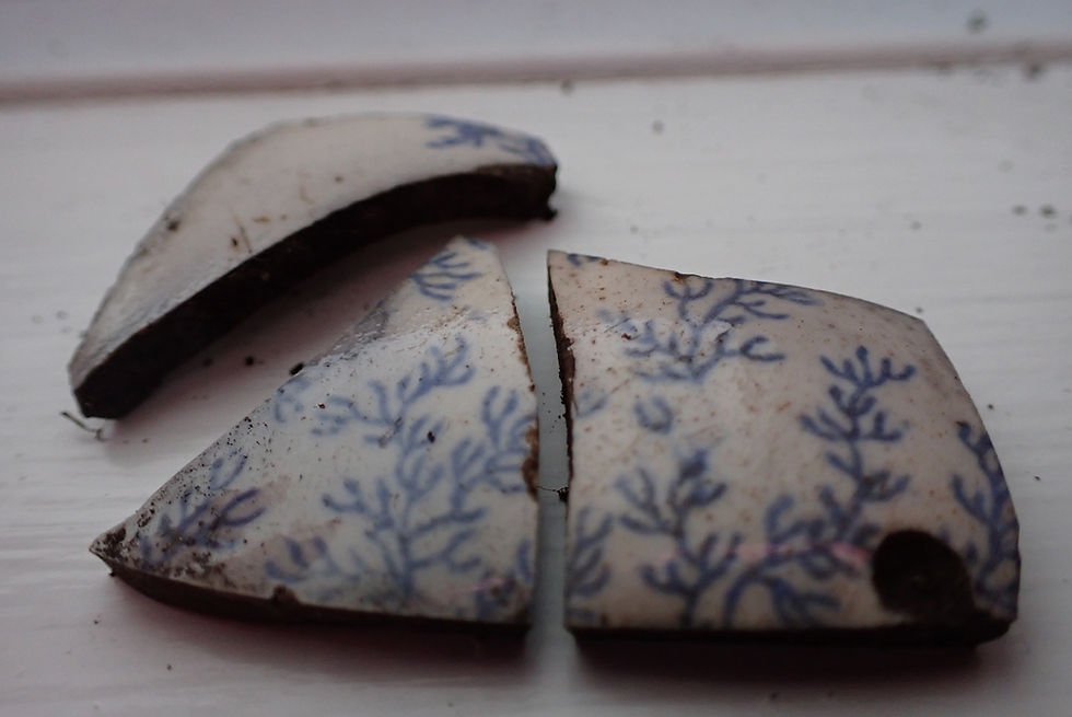 Fig. 1 The Fibre ceramics found this week at Turpin’s Island