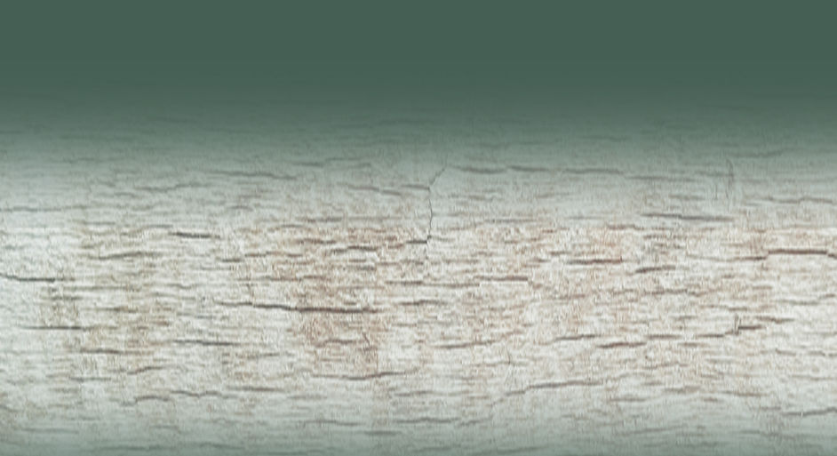hintergrund_homep.jpg